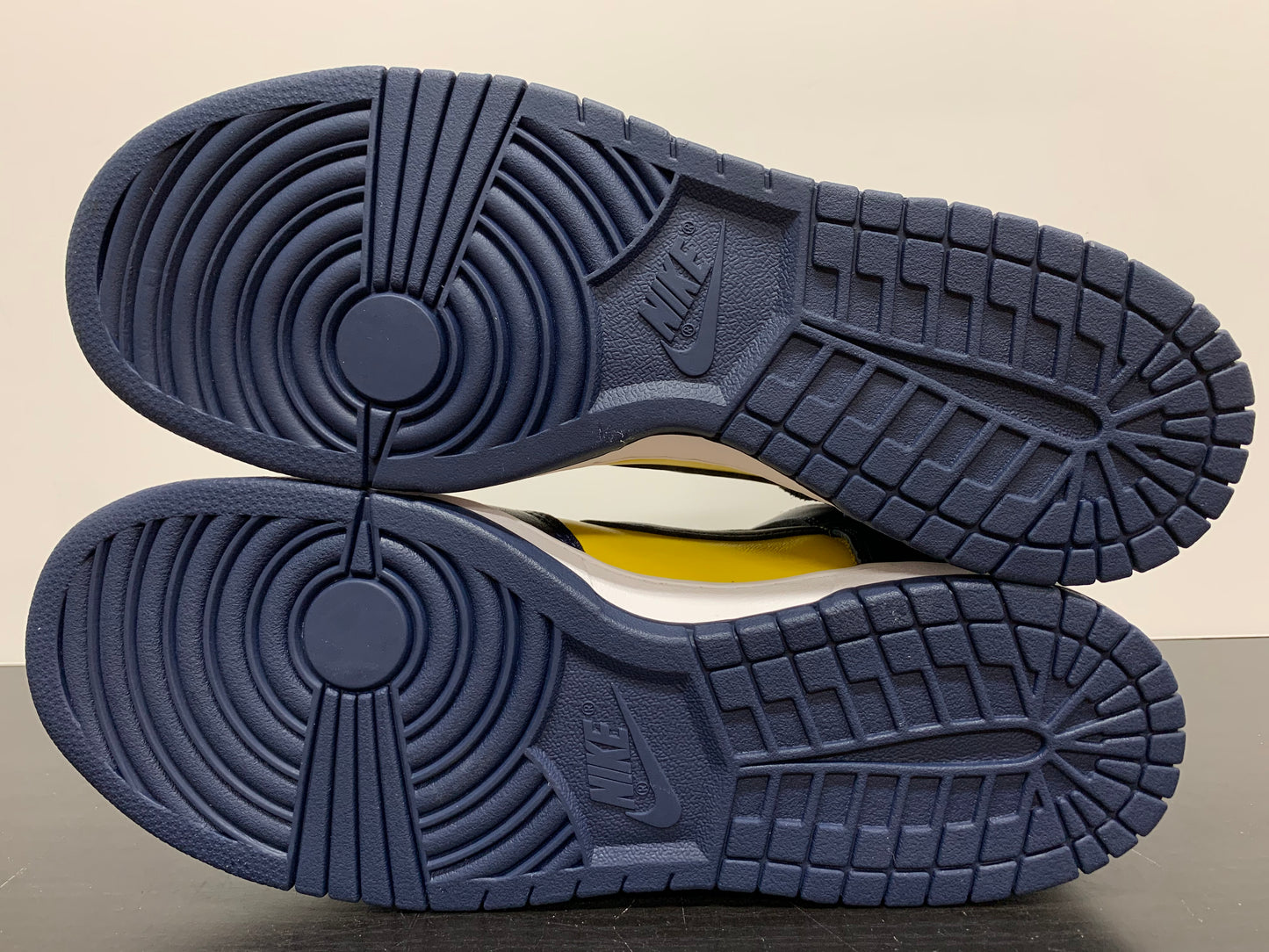 Nike Dunk High Michigan 2020