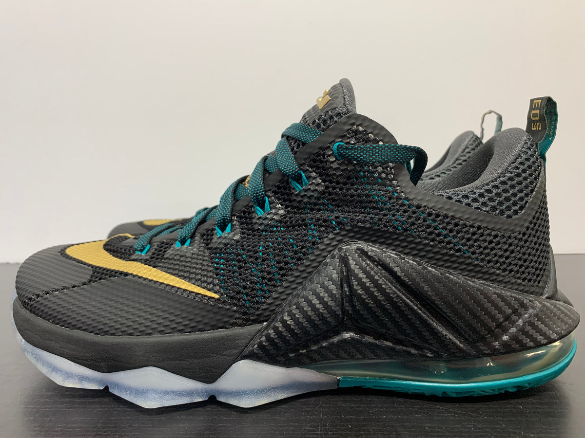 Lebron 12 low store svsm