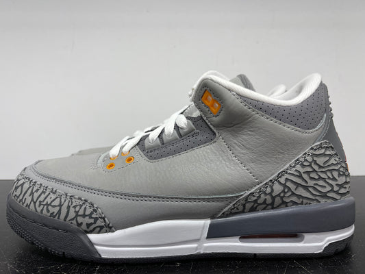 Nike Air Jordan 3 Cool Grey 2021 GS