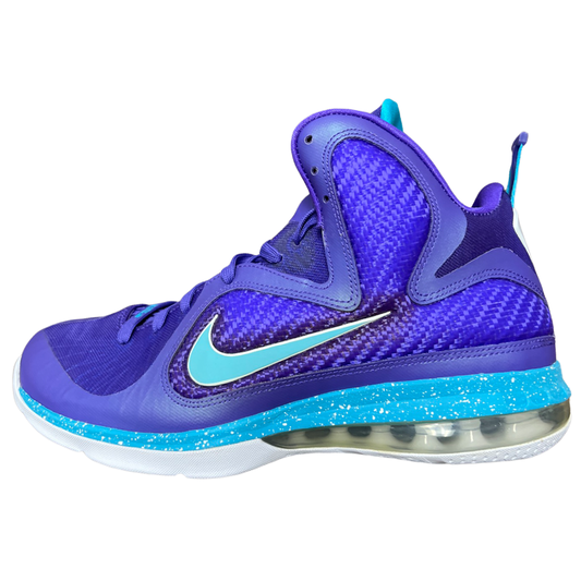 Nike LeBron 9 Summit Lake Hornets