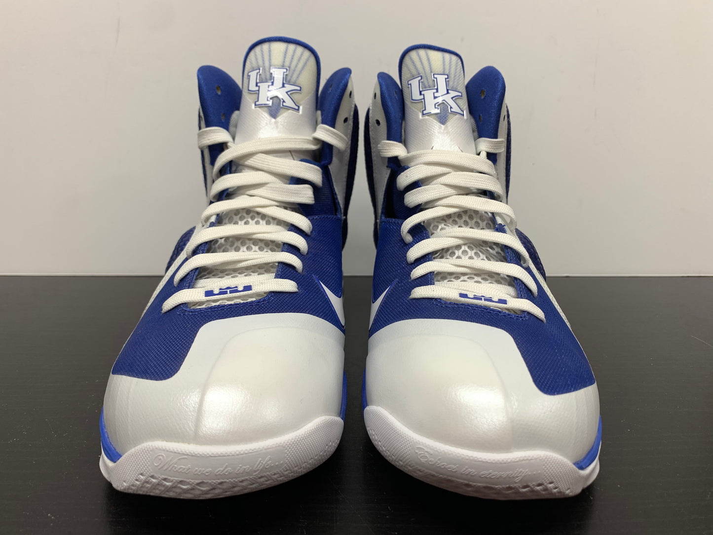 Nike LeBron 9 Kentucky Home Sample