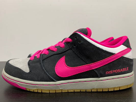 Nike Dunk Low SB Disposable