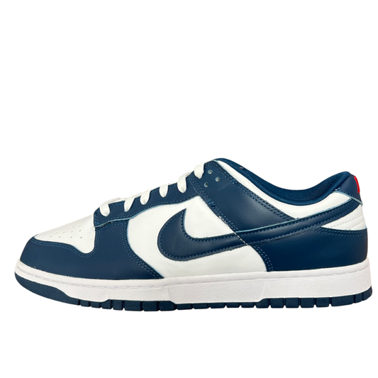 Nike Dunk Low Valerian Blue