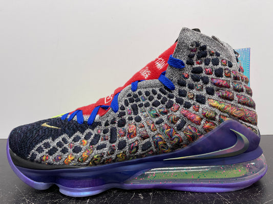 Nike LeBron 17 What The